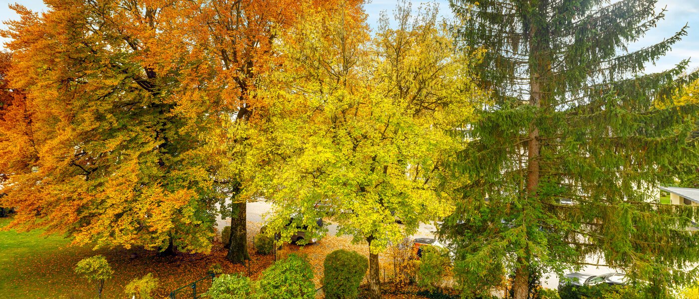 квартира Grünwald 01 вид из окна 14631