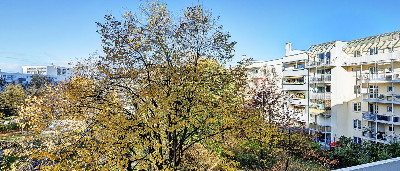 квартира München Moosach 01 вид из окна 14638