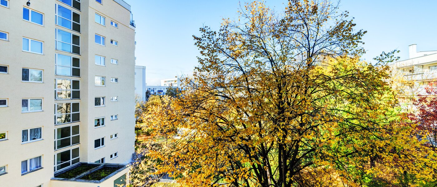 квартира München Moosach 02 вид из окна 14638