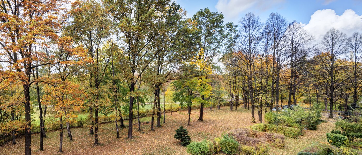 квартира München Bogenhausen 01 вид из окна 14639