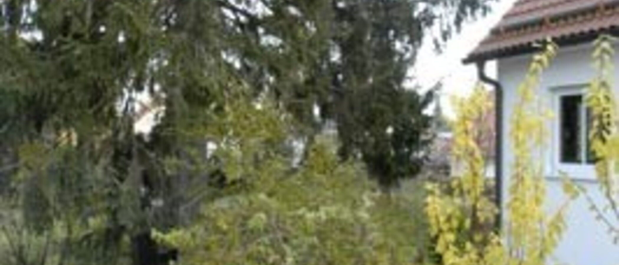 Половина двухквартирного жилого дома München Trudering 03 вид из окна 1464
