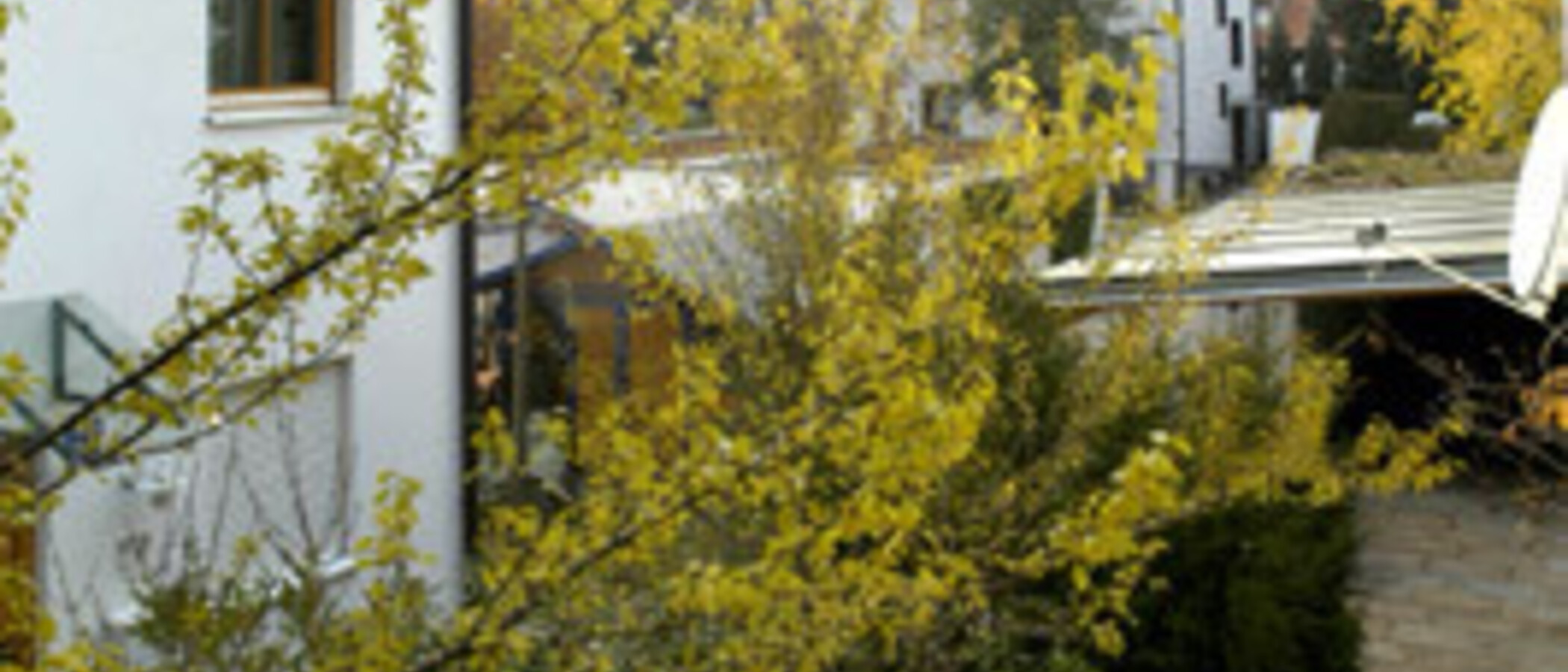 Половина двухквартирного жилого дома München Trudering 04 вид из окна 1464