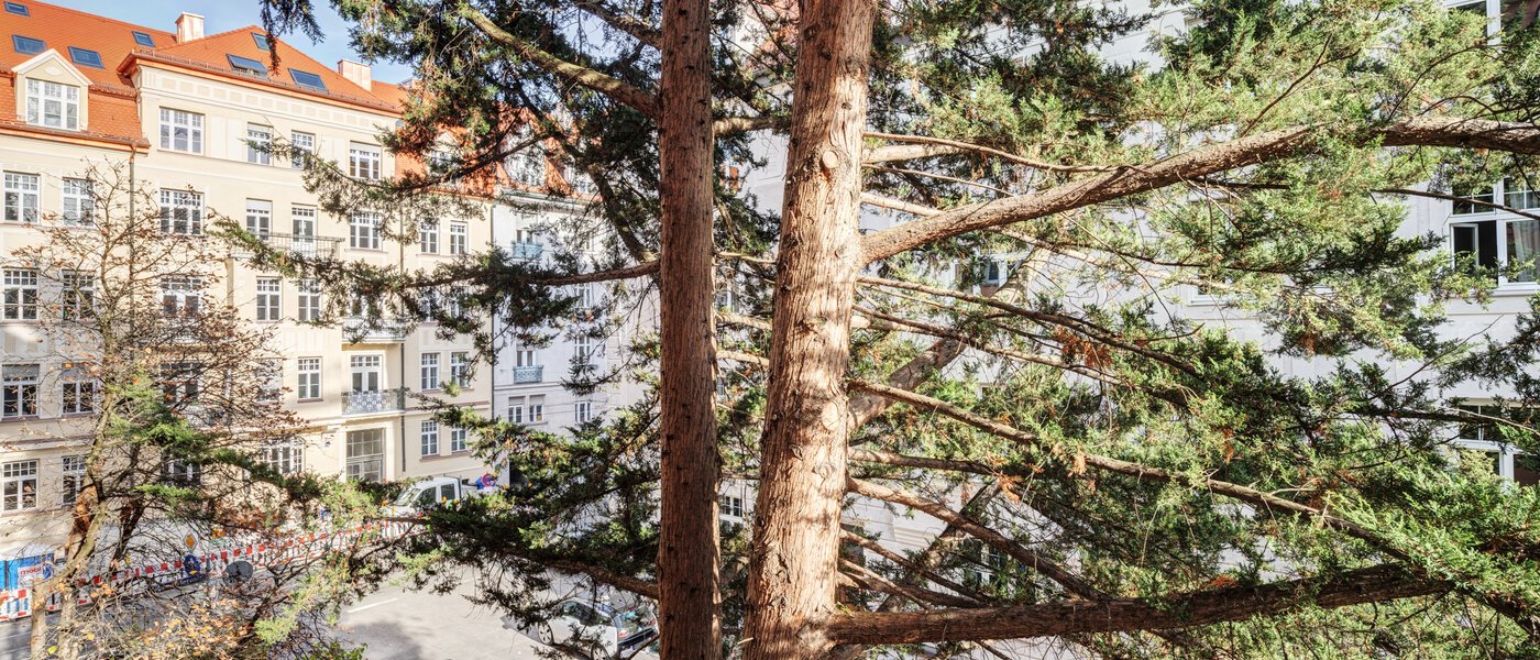 квартира München Schwabing-West 02 вид из окна 14646