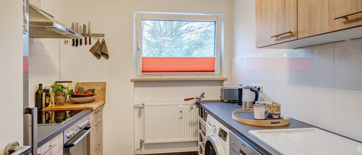 квартира München Nymphenburg 01 кухня 14655