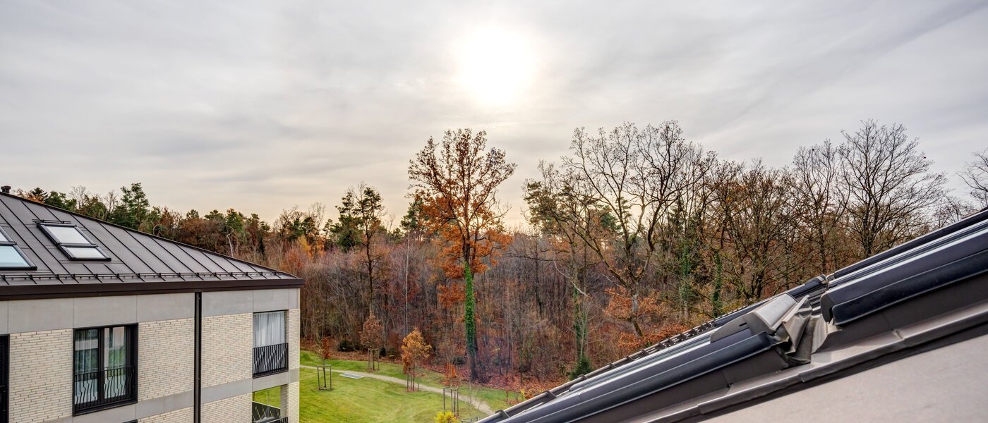 двухэтажная квартира Haar 01 вид из окна 14664