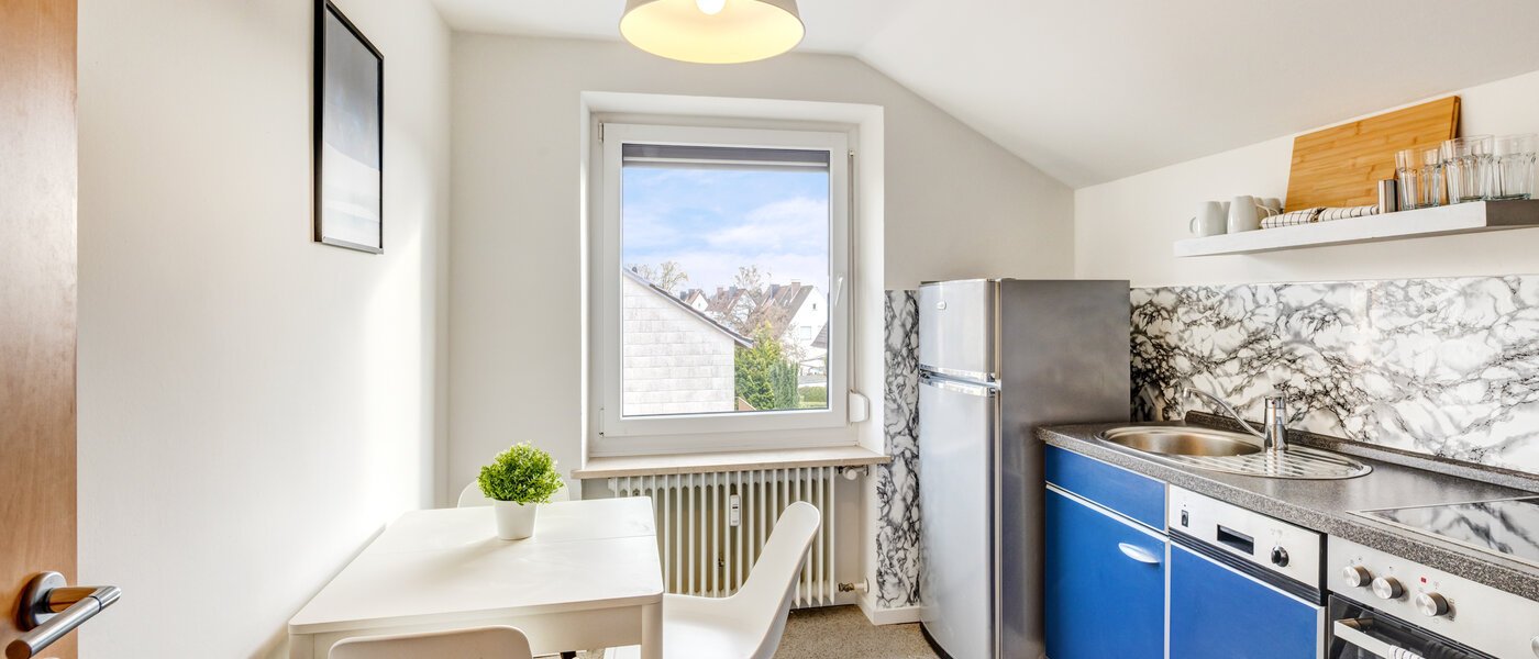 мансардная квартира Dachau 01 кухня 14669