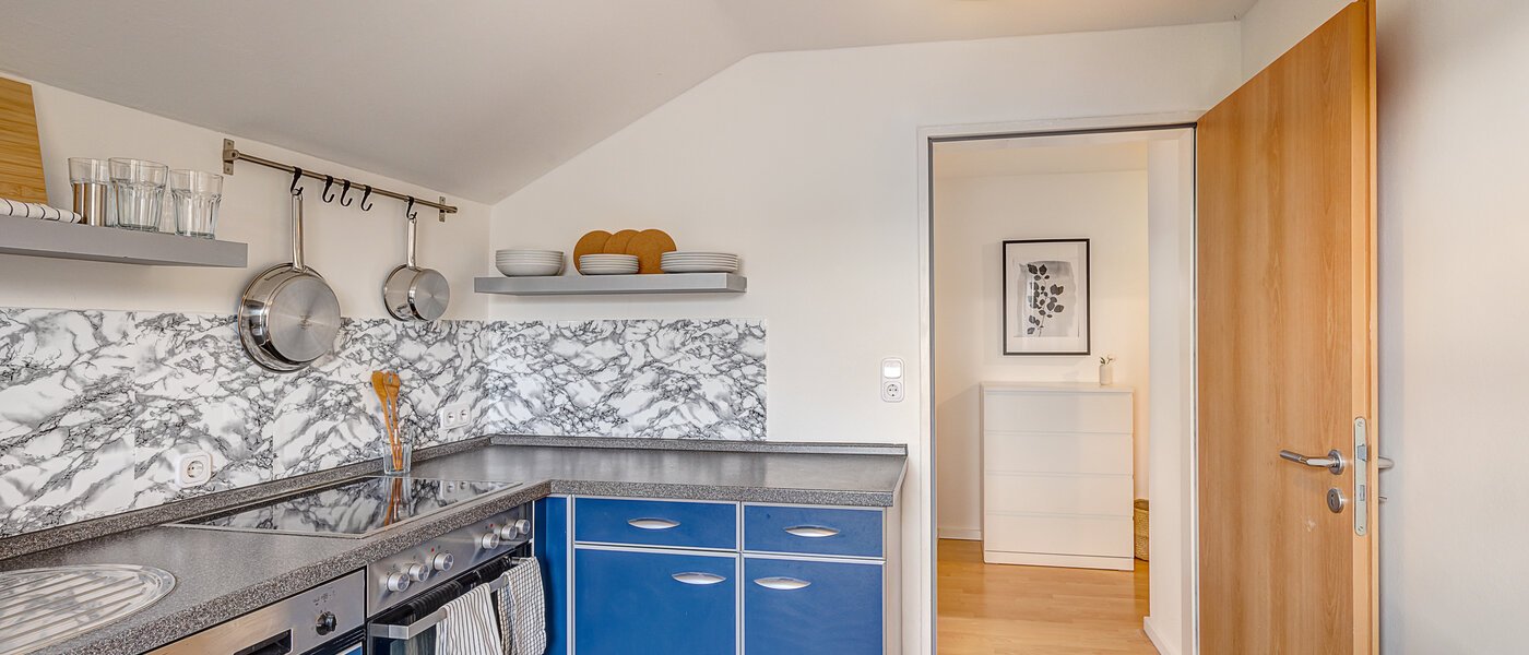 мансардная квартира Dachau 02 кухня 14669