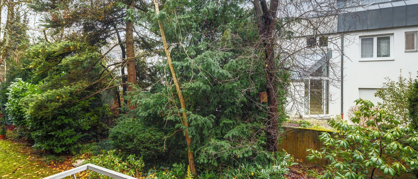 квартира München Solln 01 вид из окна 14682