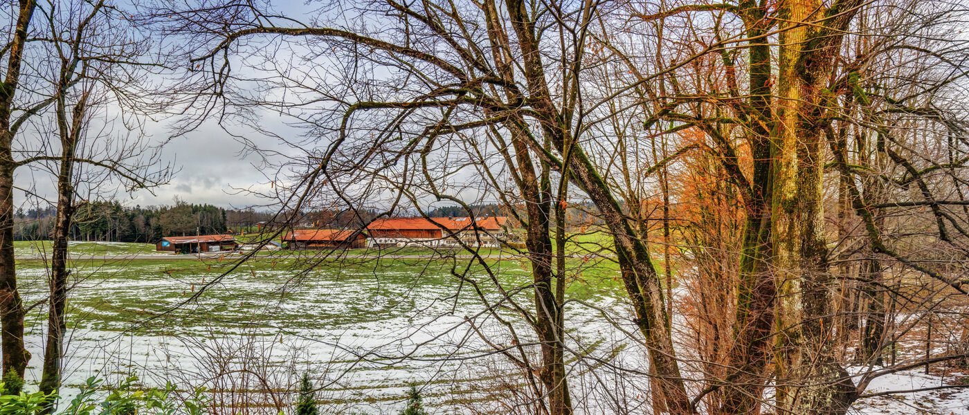 двухэтажная квартира Waakirchen 03 вид из окна 14683