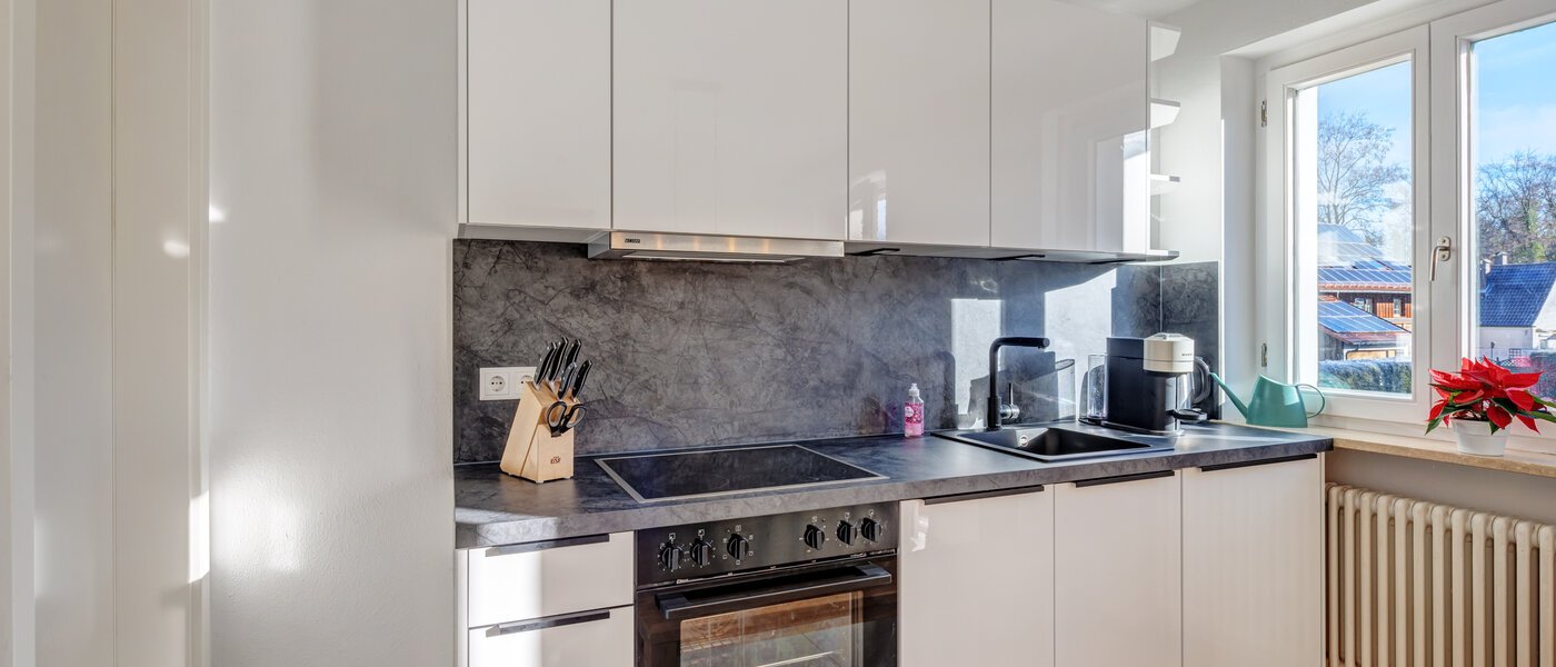 квартира Haar 02 кухня 14685