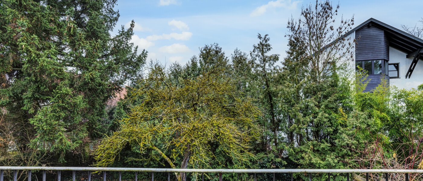 двухэтажная квартира München Cosimapark 01 вид из окна 14688