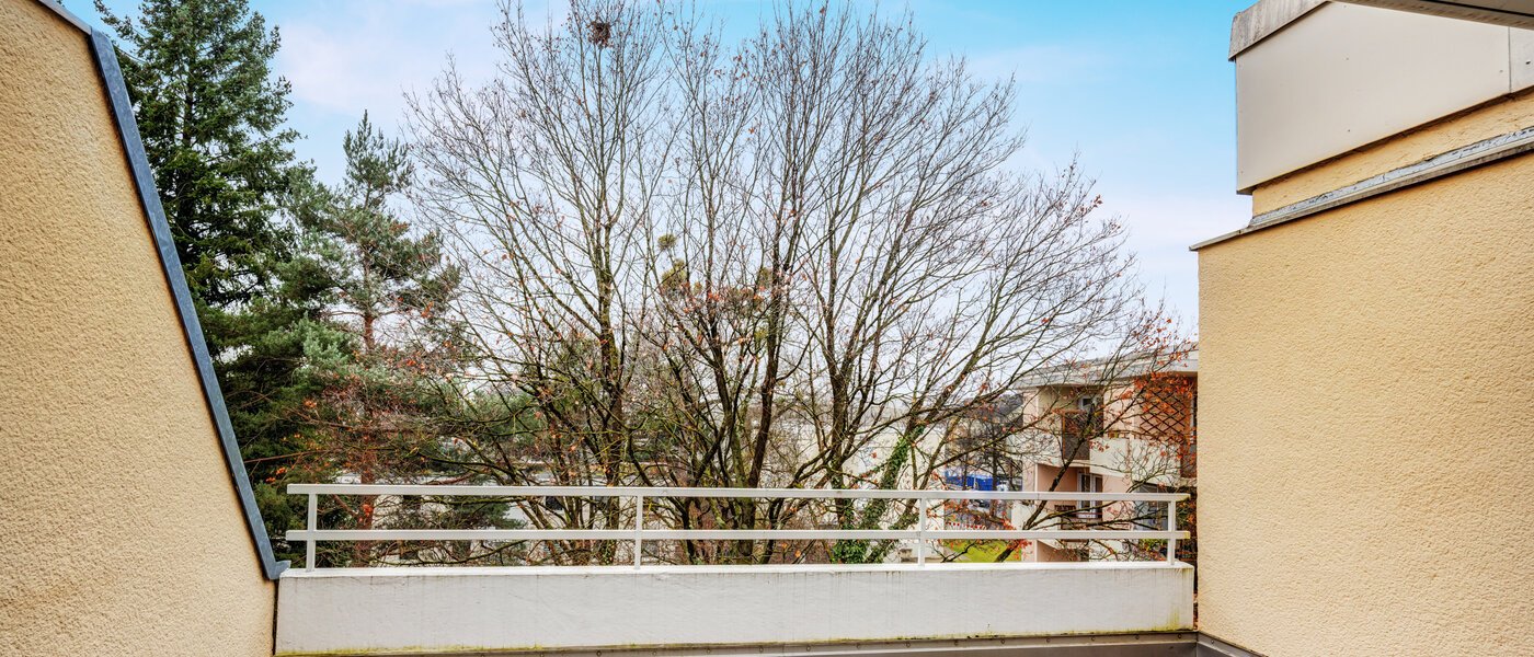 мансардная квартира München Nymphenburg 02 1-я терраса с крышей 14694