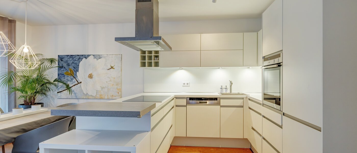 квартира München Harlaching 01 кухня 14713