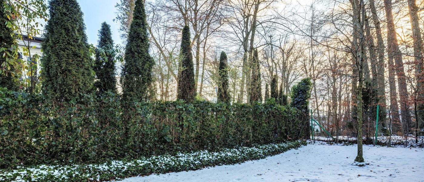 квартира München Harlaching 01 сад 14713