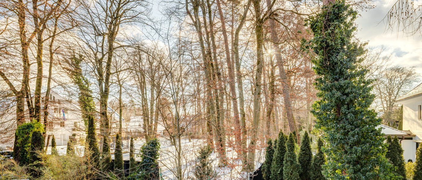 квартира München Harlaching 02 вид из окна 14713