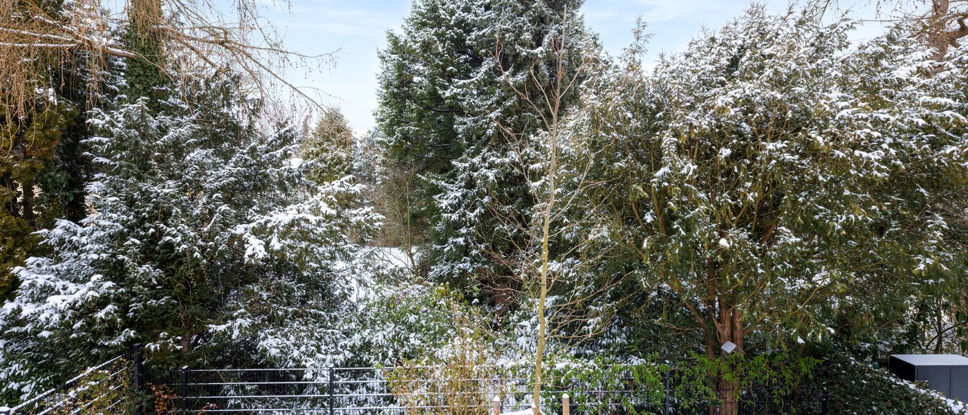 Половина двухквартирного жилого дома München Pasing 03 вид из окна 14721