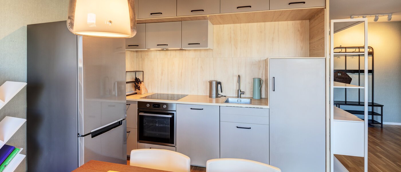 квартира Erding 02 кухня 14722