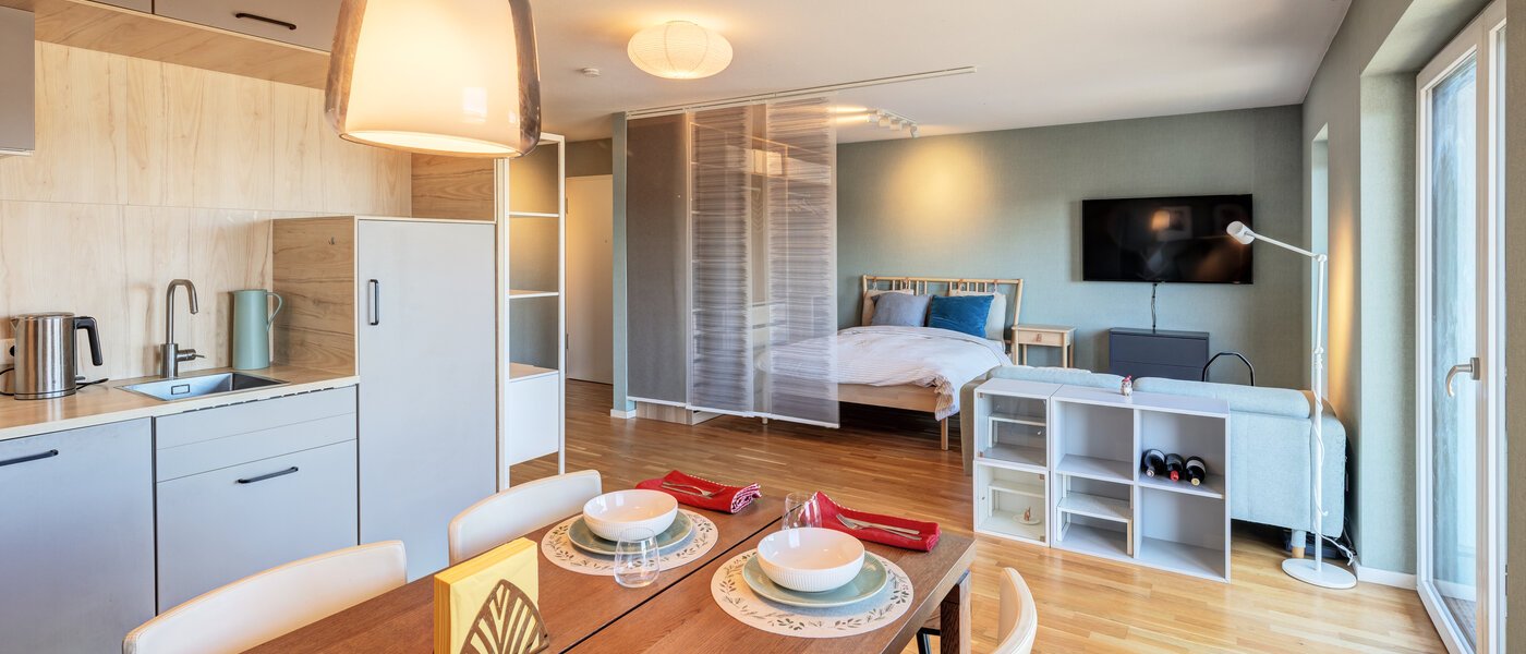 квартира Erding 03 кухня 14722