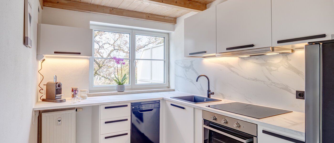 квартира-галерея München Waldtrudering 01 кухня 14759