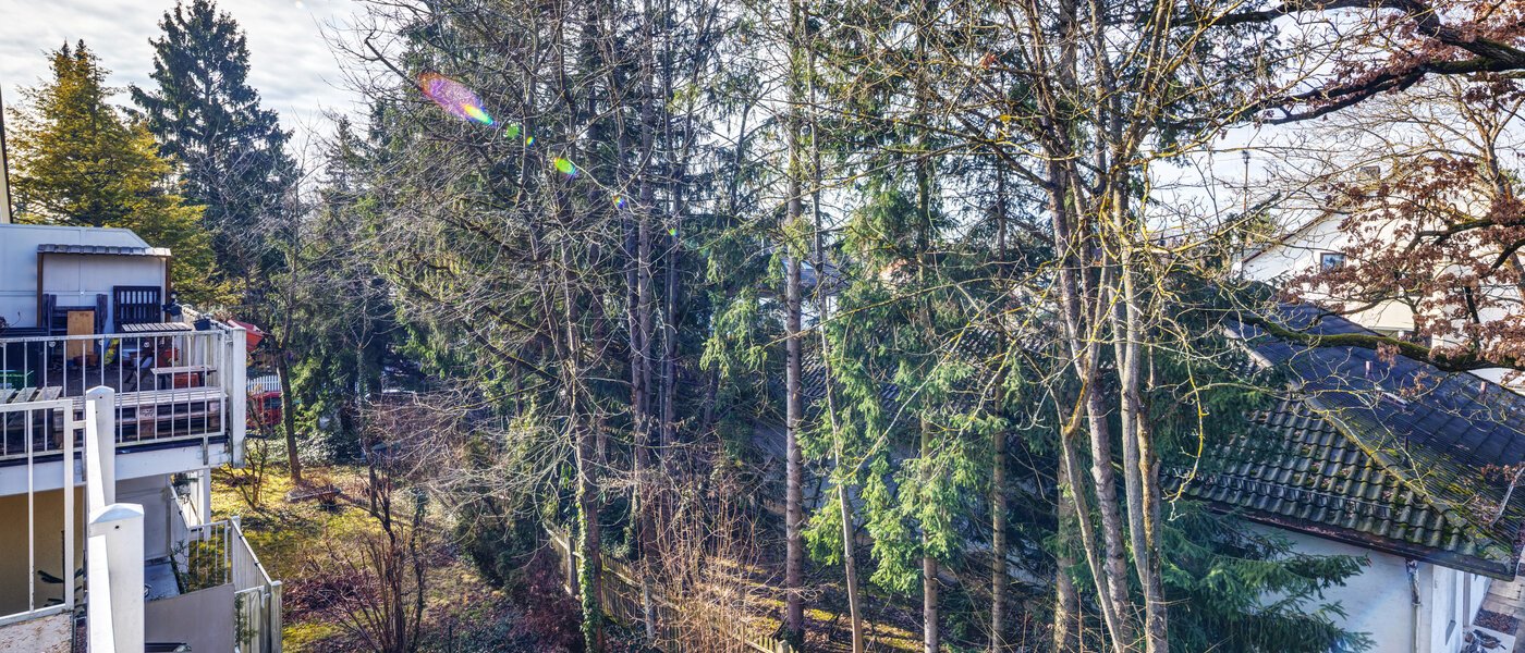 квартира-галерея München Waldtrudering 01 вид из окна 14759