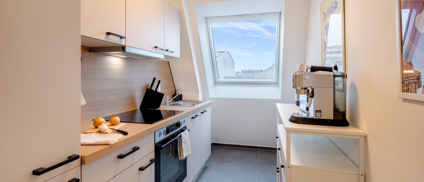 мансардная квартира München Isarvorstadt 01 кухня 14762