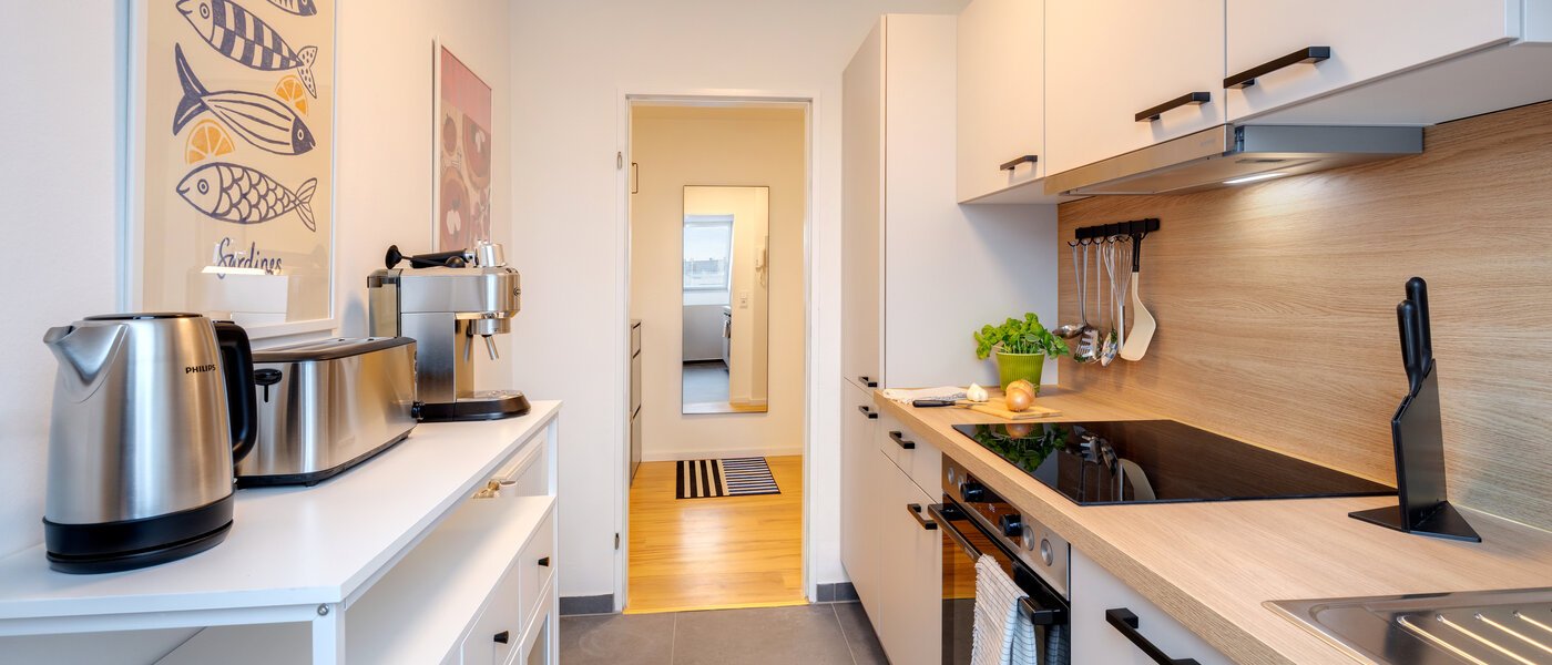 мансардная квартира München Isarvorstadt 03 кухня 14762