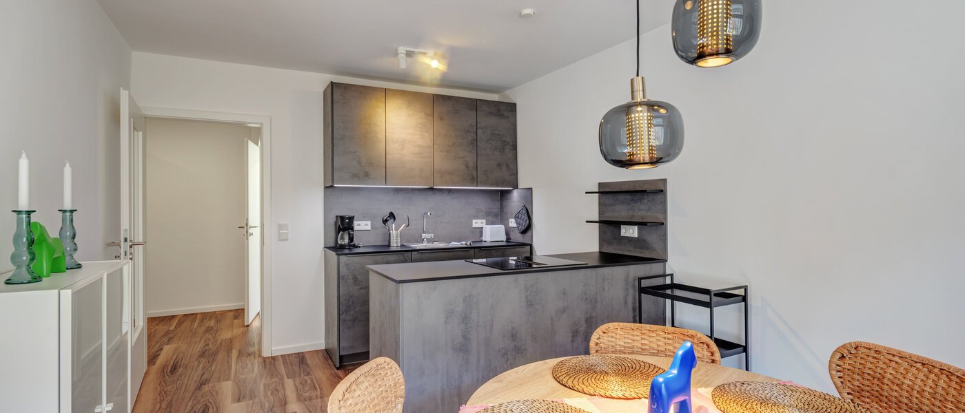 квартира München Isarvorstadt 01 кухня 14764