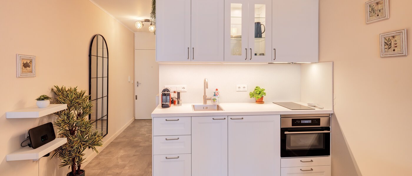 квартира München Haidhausen 01 кухня 14768