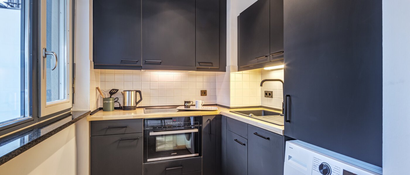 квартира München Maxvorstadt 01 кухня 14769