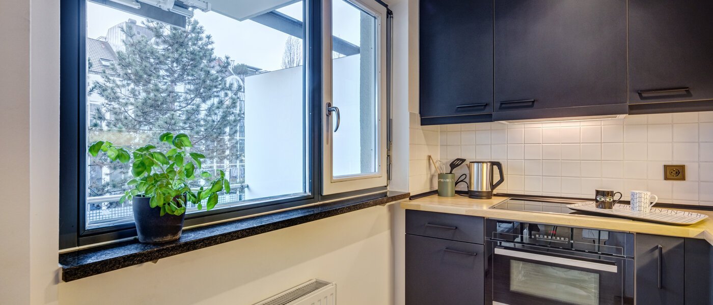 квартира München Maxvorstadt 04 кухня 14769