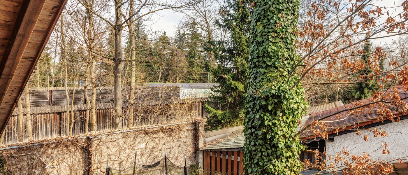 Особняк Baldham 01 вид из окна 14778