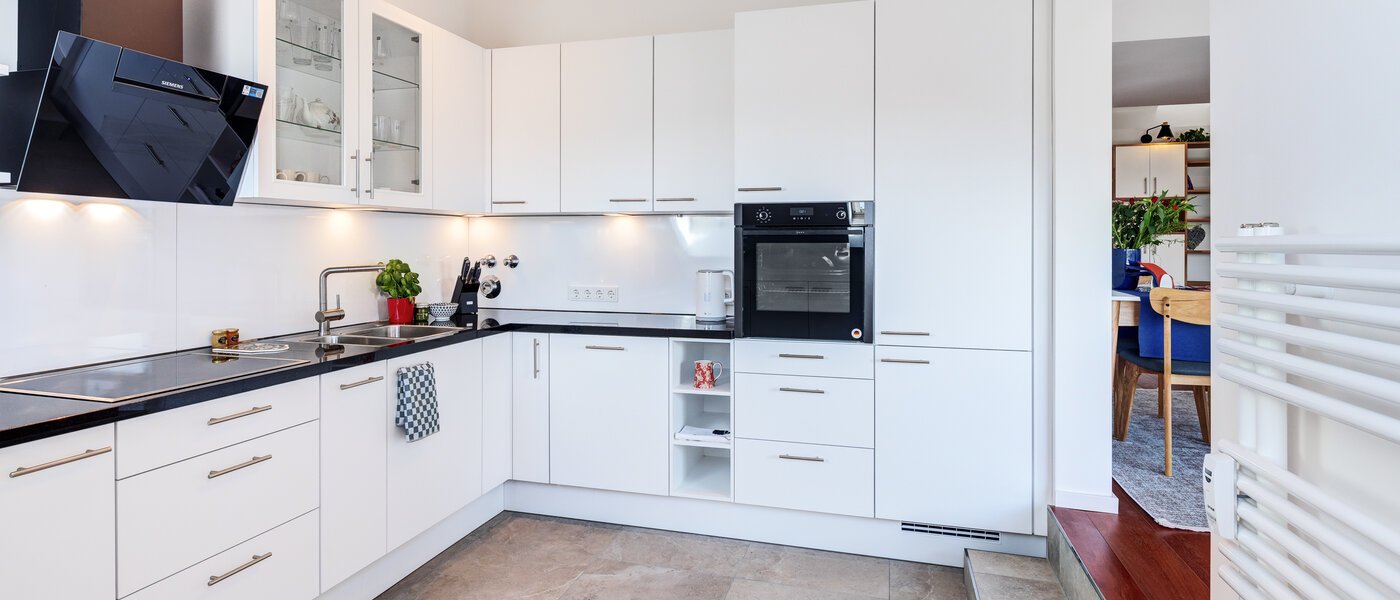 двухэтажная квартира-галерея München Maxvorstadt 03 кухня 14785