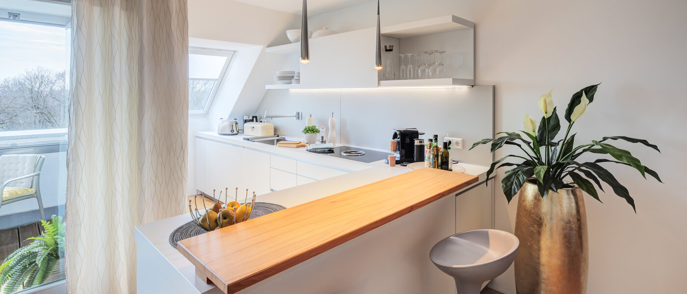 мансардная квартира München Ludwigsvorstadt 01 кухня 14803