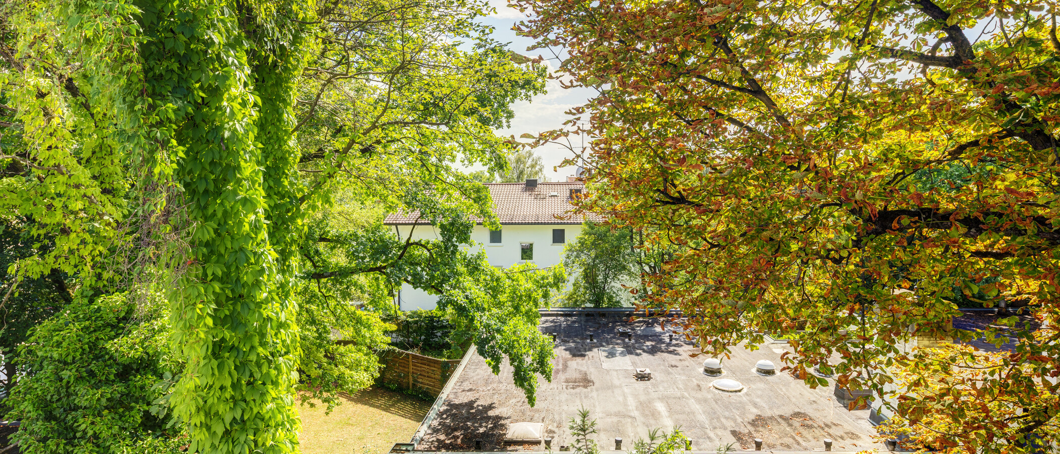 квартира-пентхаус München Bogenhausen 01 вид из окна 14972