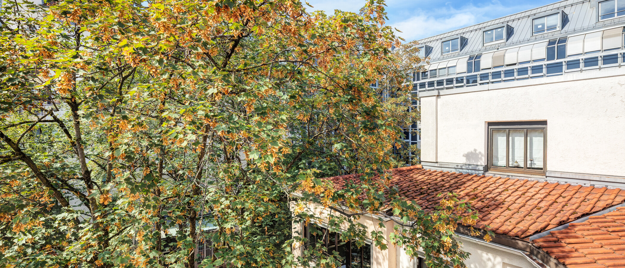 квартира München Maxvorstadt 01 вид из окна 15001