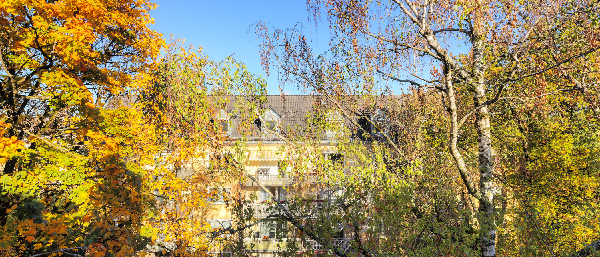 квартира-галерея München Obergiesing 02 вид из окна 15054
