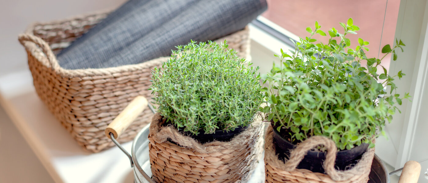 квартира München Gärtnerplatzviertel 04 кухня 1590