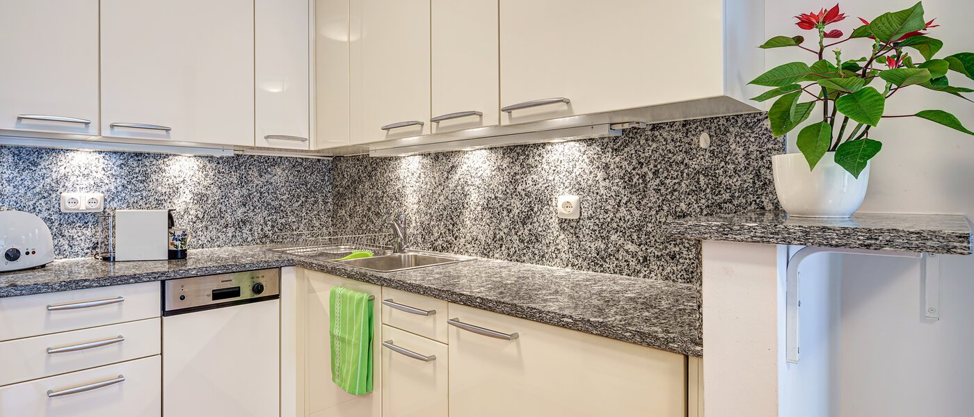 квартира München Lehel 03 кухня 1615