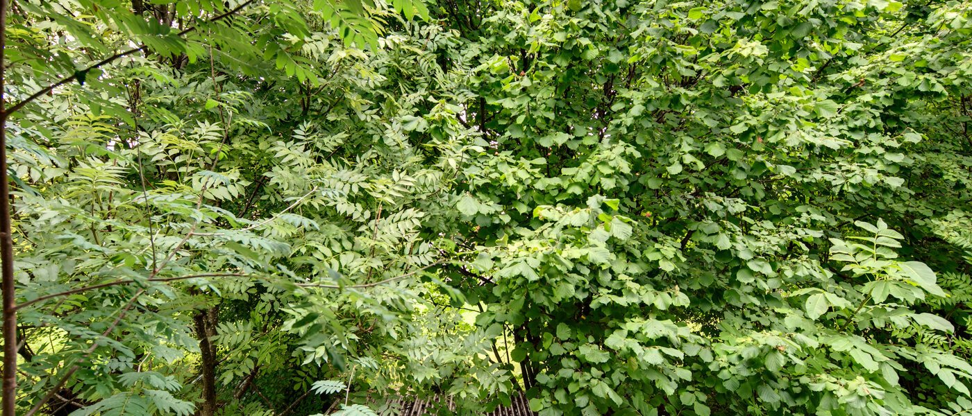 квартира München Großhadern 04 вид из окна 2051