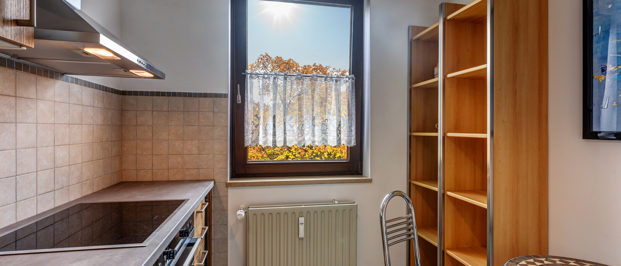 квартира München Denning 02 кухня 2167