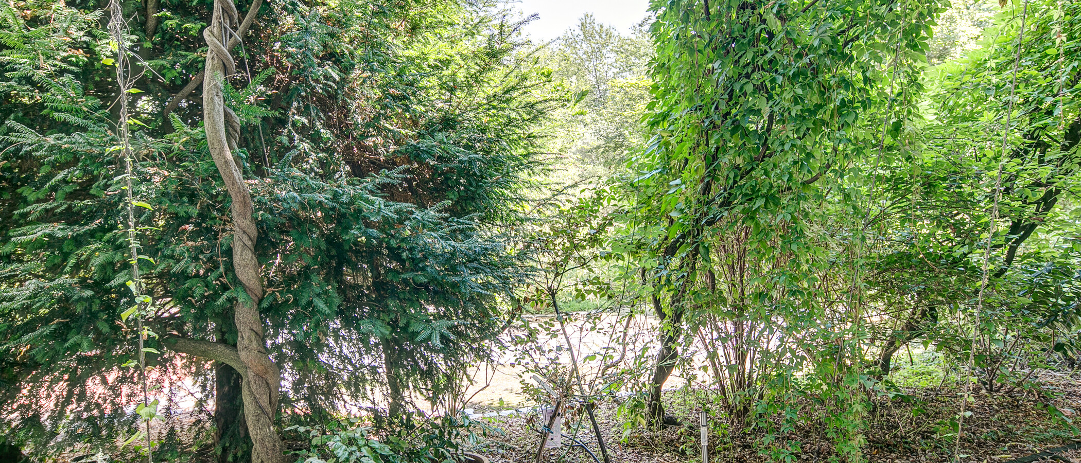 квартира München Schwabing-West (rund um den Hohenzollernplatz) 03 терраса 2225