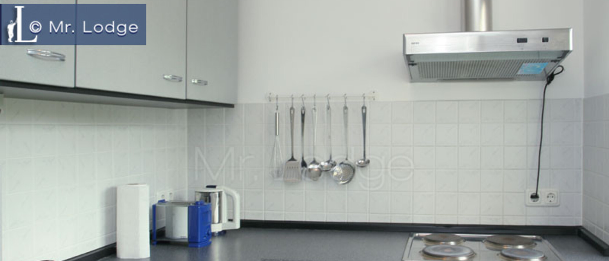 квартира München Johanneskirchen 01 кухня 229