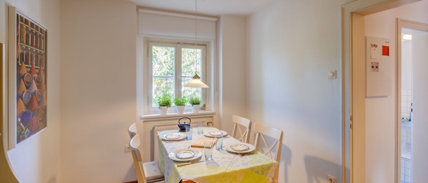 квартира München Solln 02 кухня 2378