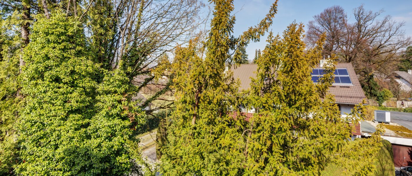 квартира München Solln 03 вид из окна 2378