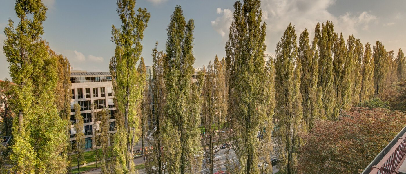 квартира München Schwabing (rechts der Leopoldstraße) 01 вид из окна 2486