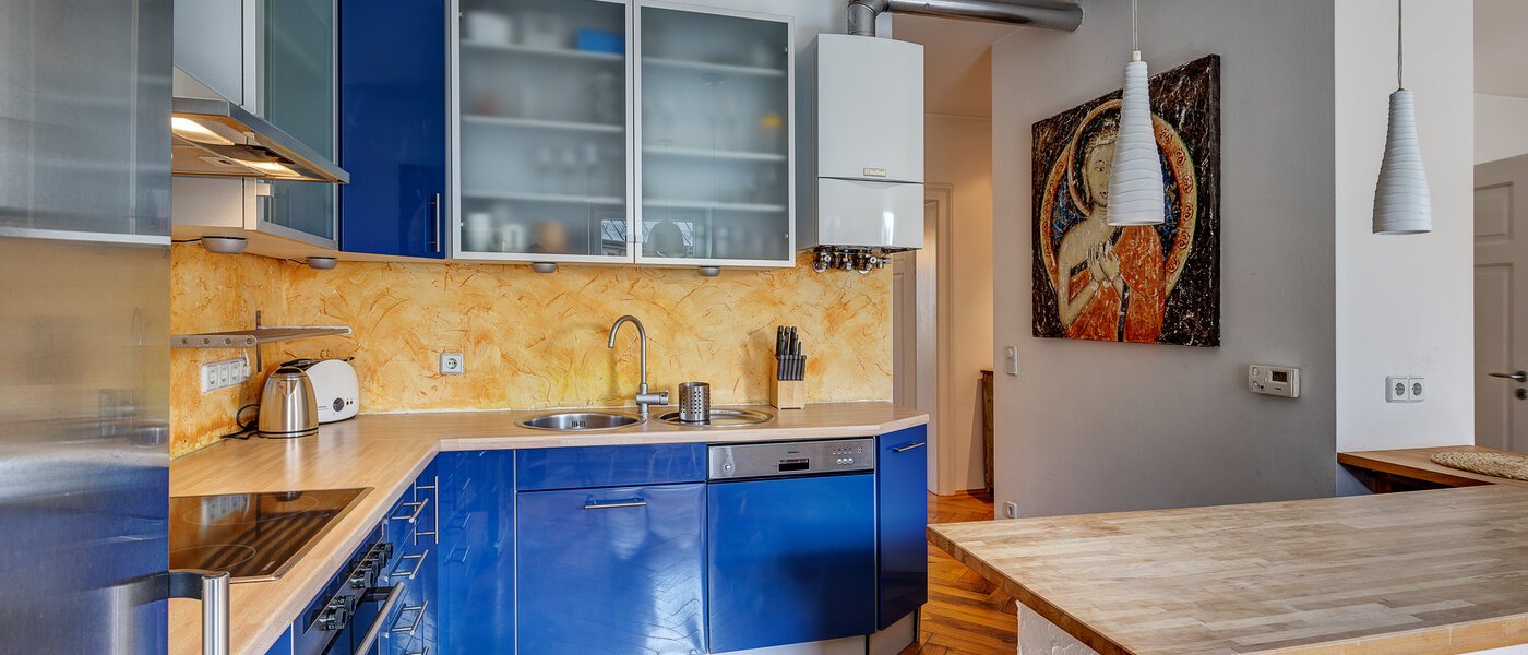 квартира München Haidhausen 02 кухня 2886