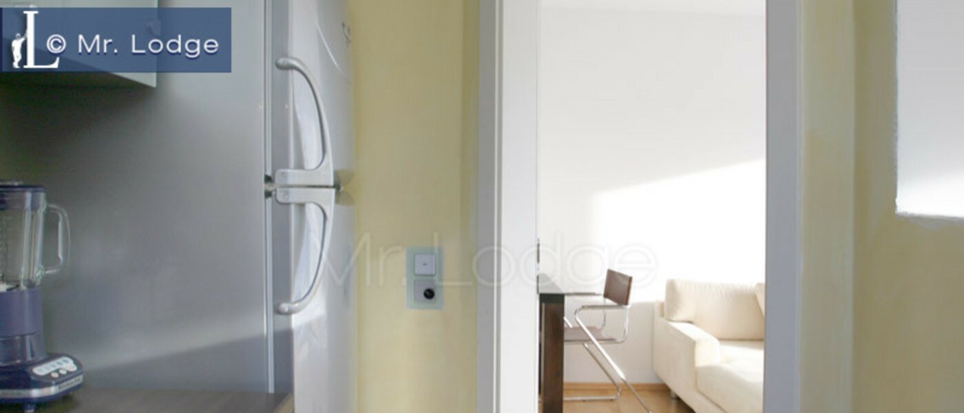 квартира München Trudering 04 кухня 2988