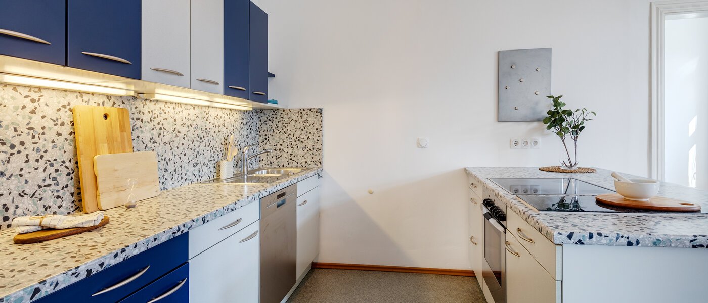 квартира München Haidhausen 03 кухня 308