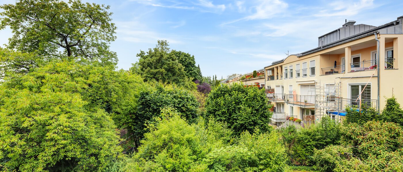 квартира München Harlaching 01 вид из окна 3096