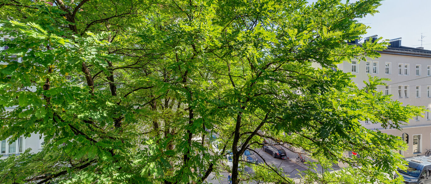 квартира München Maxvorstadt - Universitätsviertel 01 вид из окна 3592